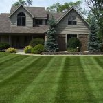 5 Ways to a Greener Lawn