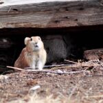 Creepy Crawlers: How to Eliminate those Spooky Pests from your Home this Fall