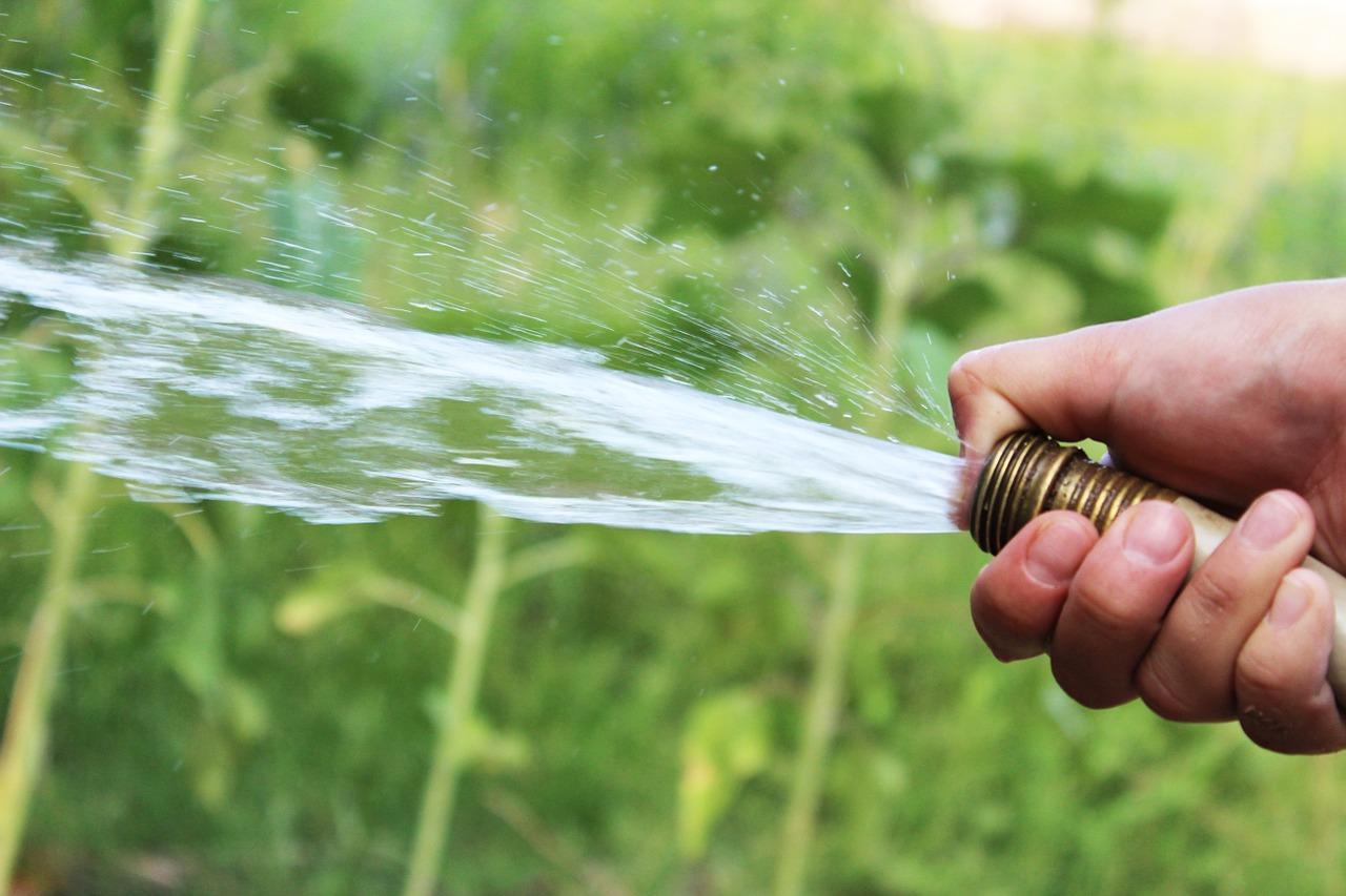 10 Ways to Conserve Water While Maintaining a Green Lawn