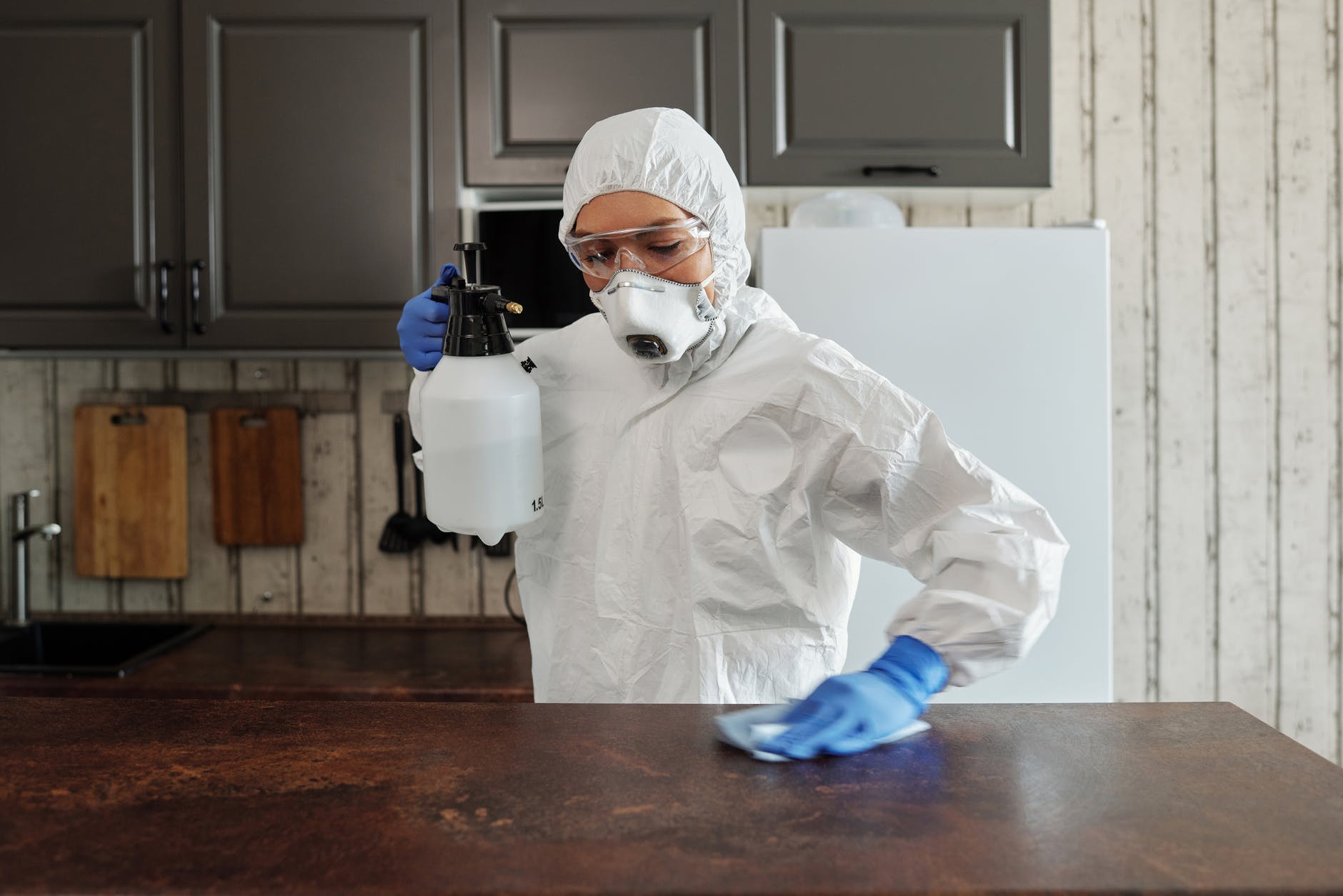 Why You Should Be Concerned About Mold Growth in Your House